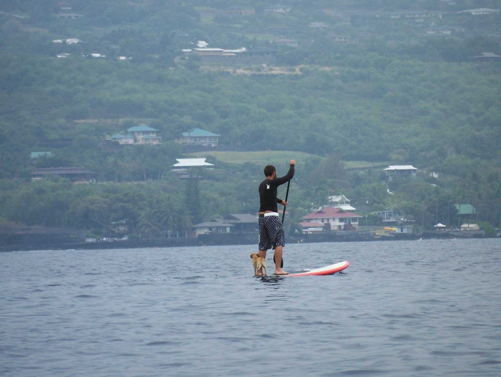 Stand Up Paddleboarding with Dog in Kona