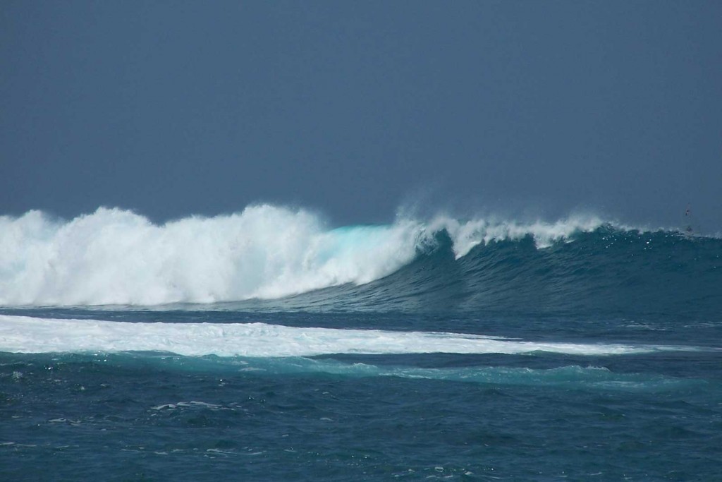 Kona Coast Wave