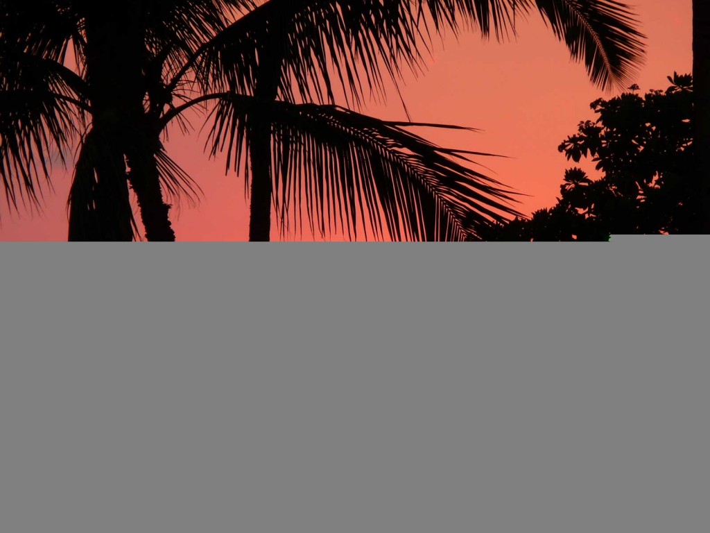 Orange Hawaii Sunset