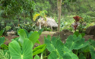 Traditional Hawaiian Village, Iao Valley State Monument