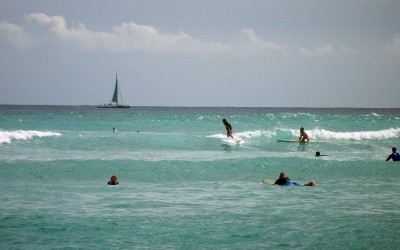 Waikiki Surfing Waves