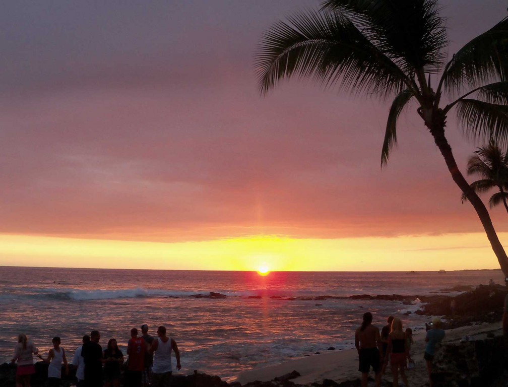 Hawaii Palm Sunset