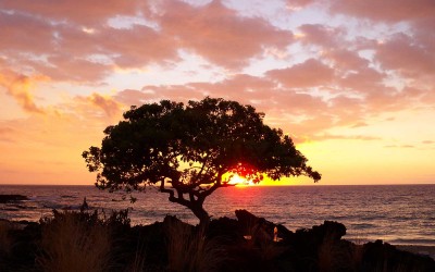 Kua Bay Beach Sunset