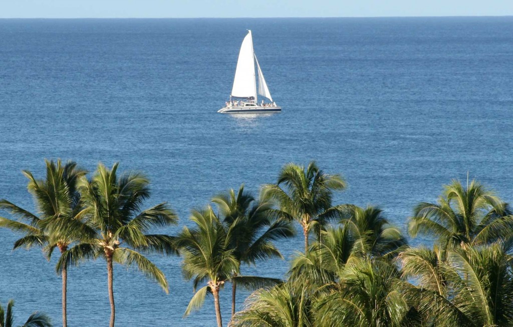 Oahu Hawaii Sailbat with Palm Trees