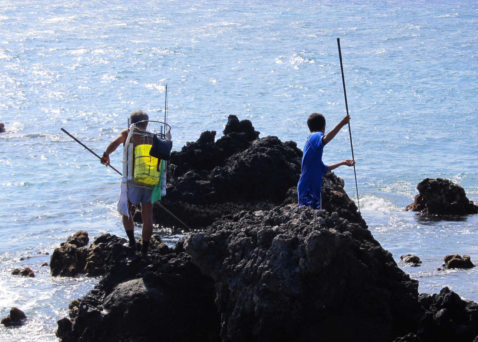 Hawaii A'ama Crab Hunting Hawaii Pictures