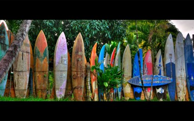 Peahi Surfboard Wall