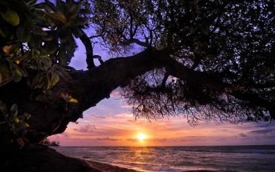 Kapaa Beach Sunrise, Kauai