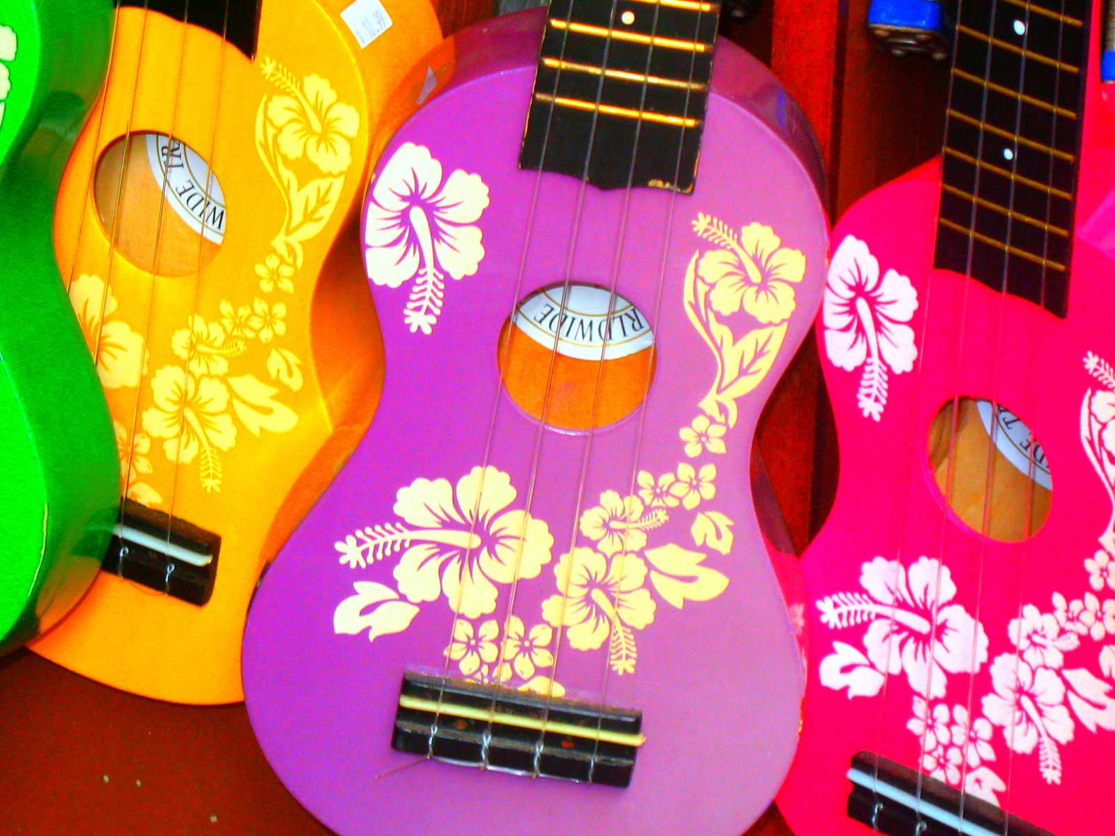 A Rainbow of Hawaiian Ukuleles Hawaii Pictures