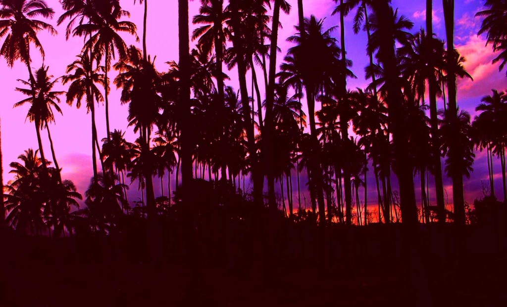Classic Kaua'i Purple Sunset