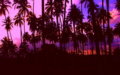 Classic Kaua'i Purple Sunset
