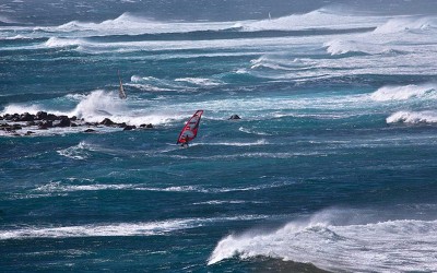 Maui Windsurfers