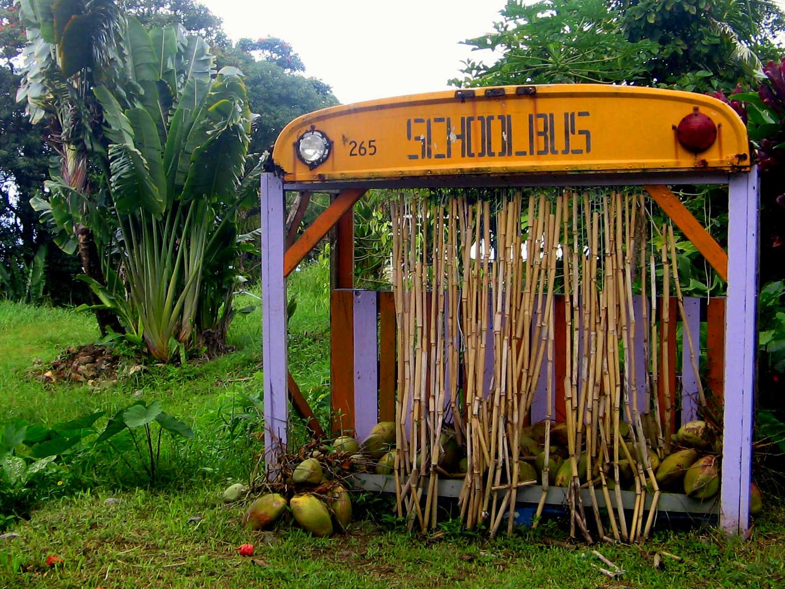 Coconut Glen's Coconut Stand Hawaii Pictures