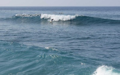 Solo Surfer Bottom Turn