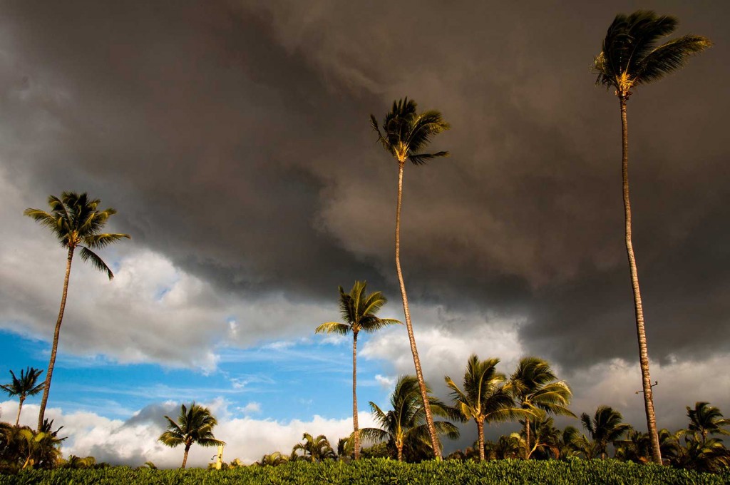 Lahaina Maui Palms, Dark Clouds