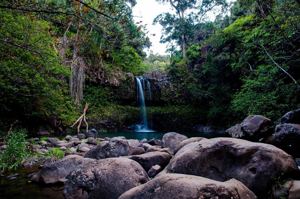 Hana Rainforest Waterfall