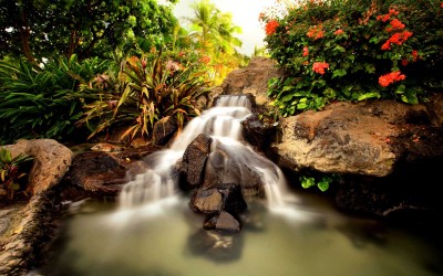 Waikiki Mini Waterfall