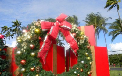 Kauai Christmas Wreath, Hawaii