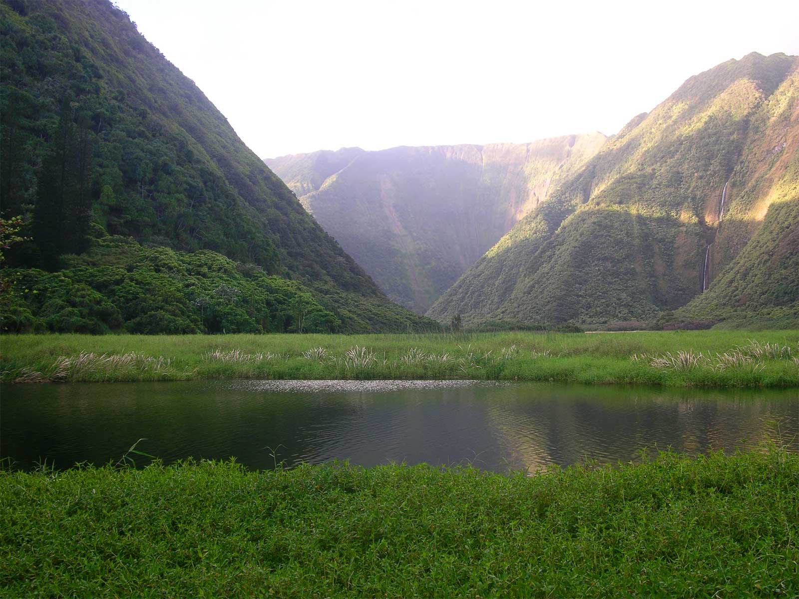 Waimanu Valley Hawaii Pictures
