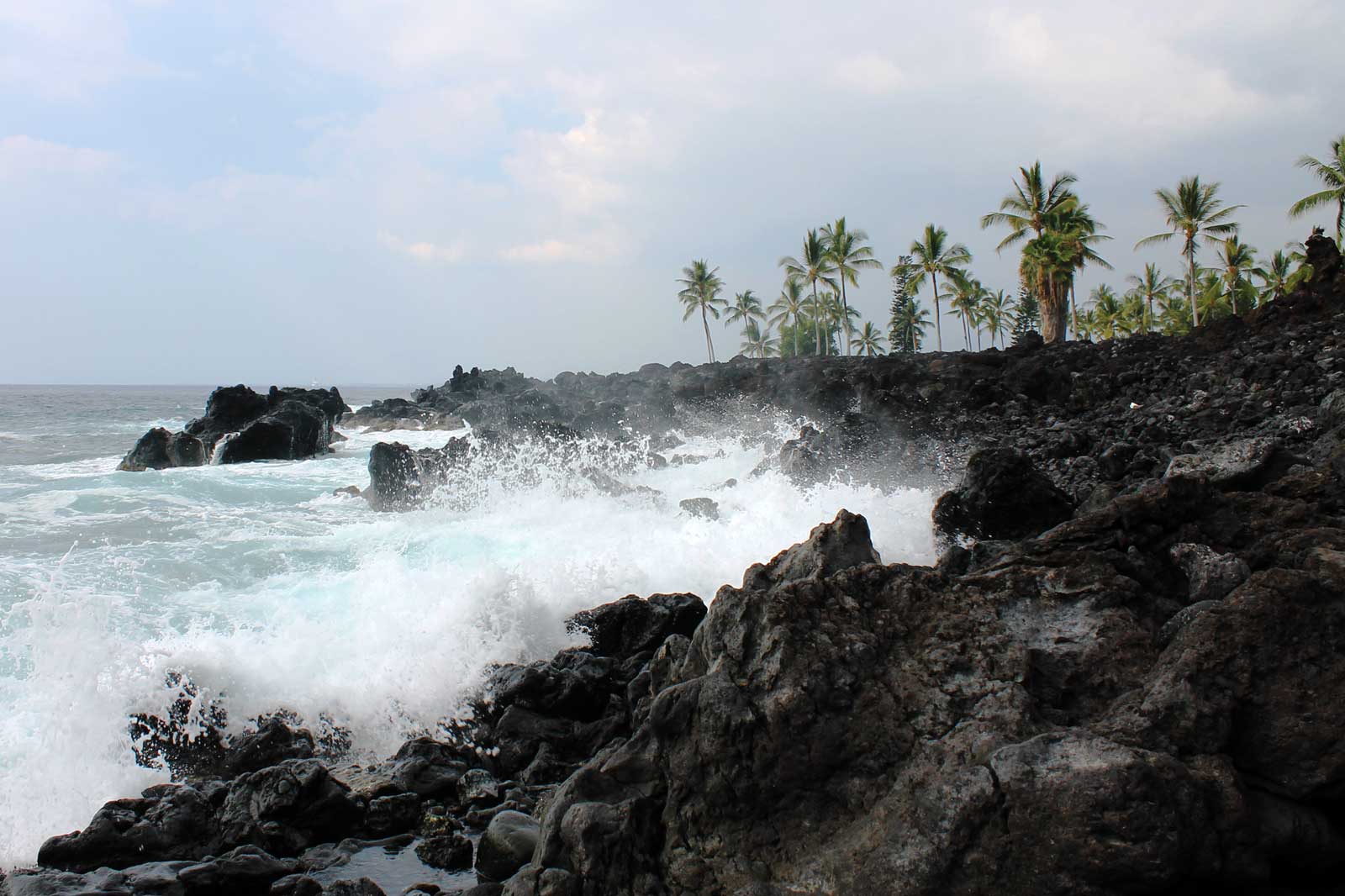 Kona Coast Hawaii Pictures