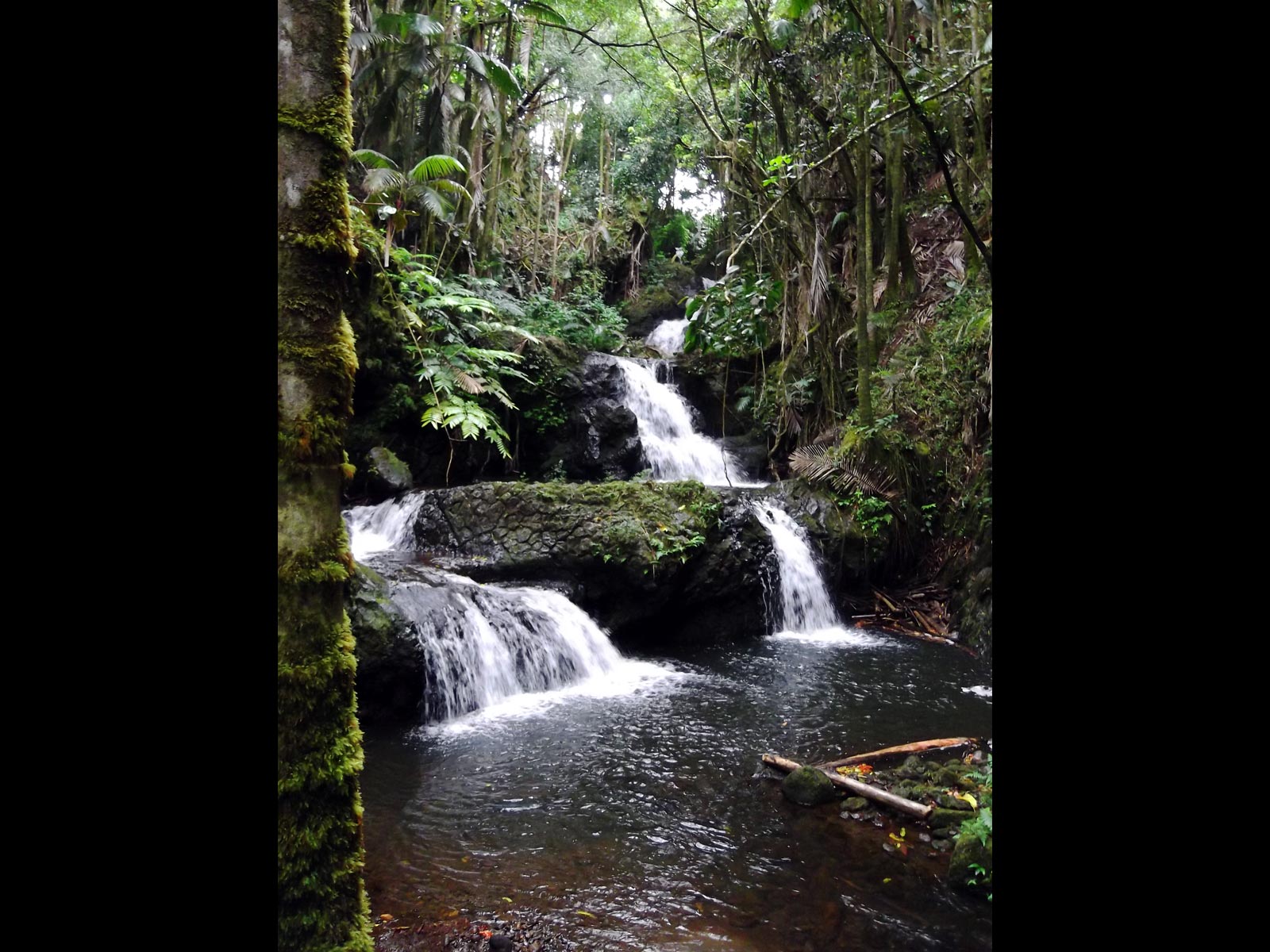 Alakahi Waterfalls Hawaii Pictures